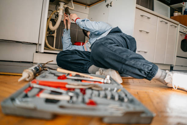 Best Clogged Drain Plumber  in Gardnerville, NV