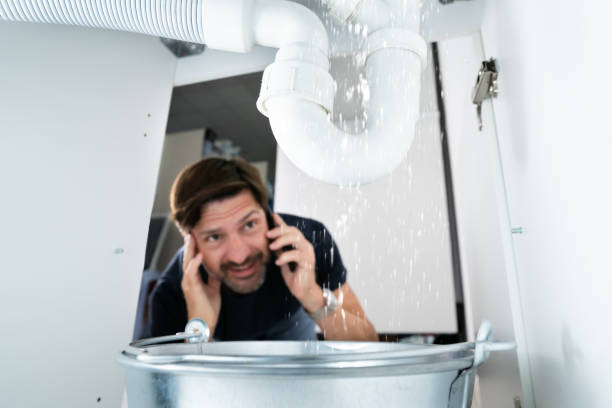 Best Leak Detection Services  in Gardnerville, NV